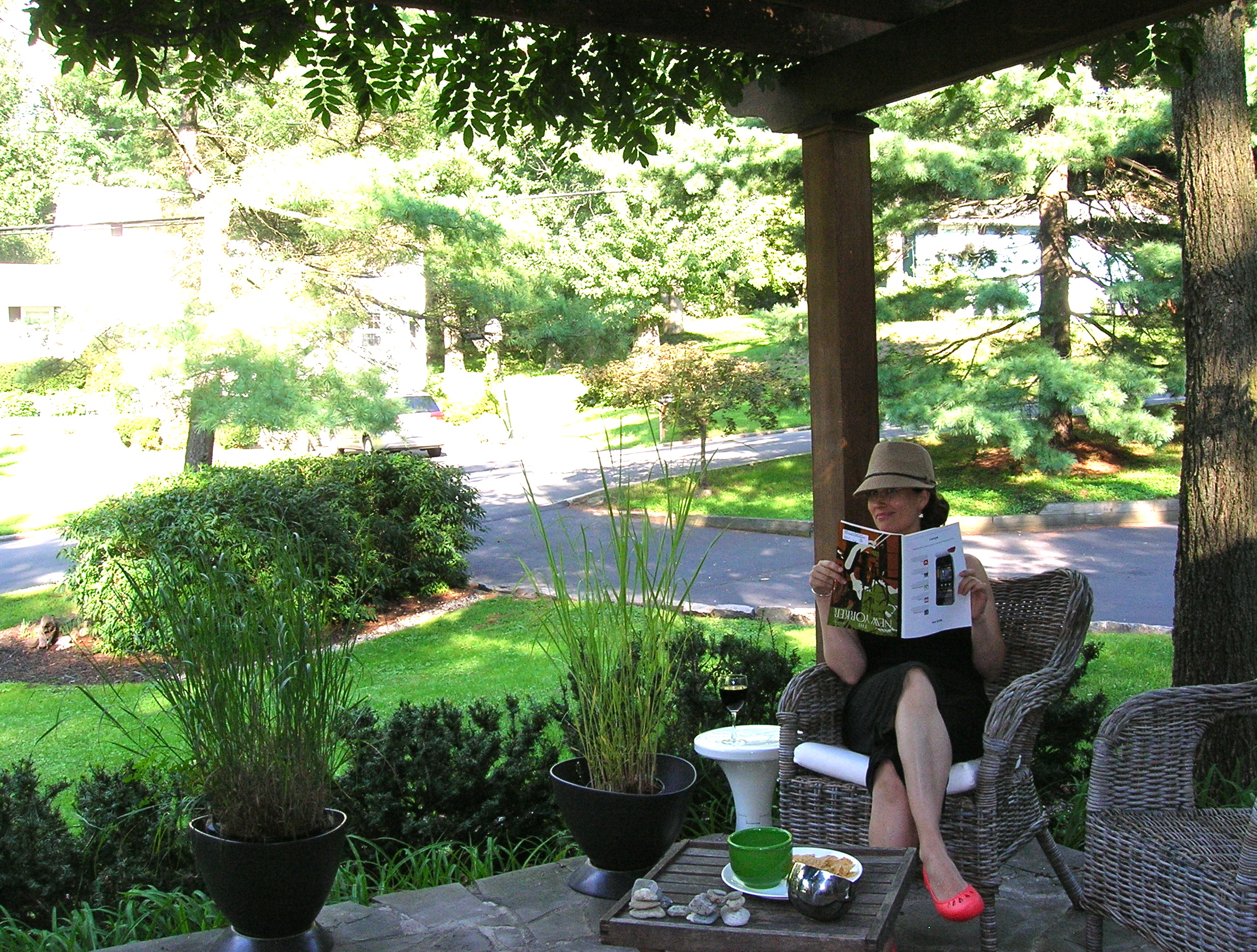 wisteria takes over pergola – THE HOME TOME
